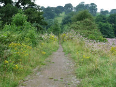 Tredegar Park Tramroad, The tramroad towards the Forge, August 2012